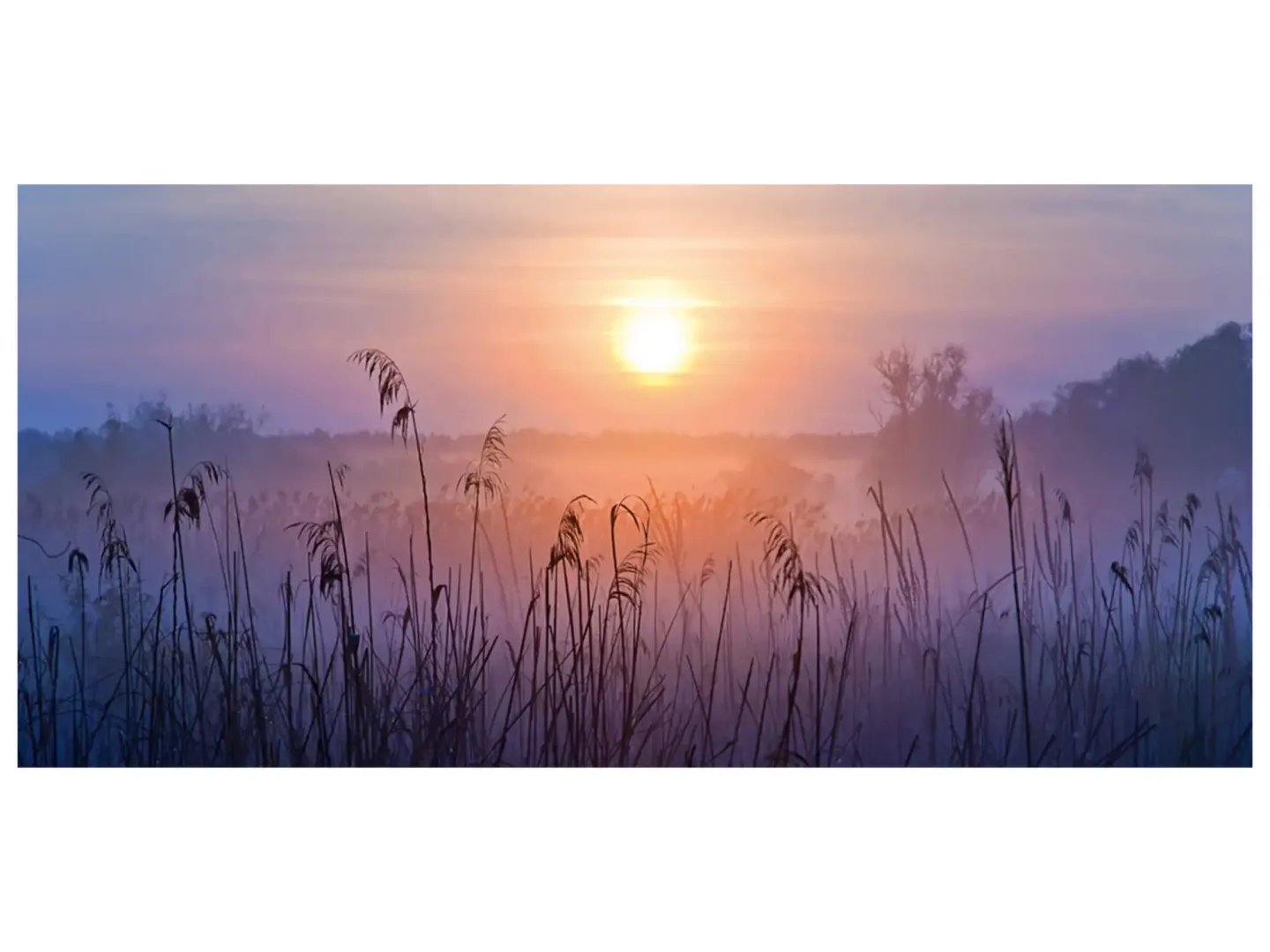 image LAND Digitaldruck auf Glas Sonnenaufgang im Nebel | Schubiger Möbel