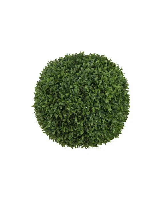 Boxwood Potted Plant Green