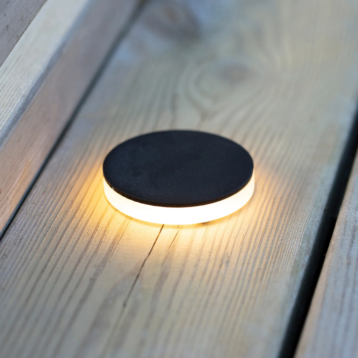 Garden 24 taklampa svart 3W sidomonterad Ø6cm - Markslöjd Decklight - Modern - Metall - Med en ljuskälla