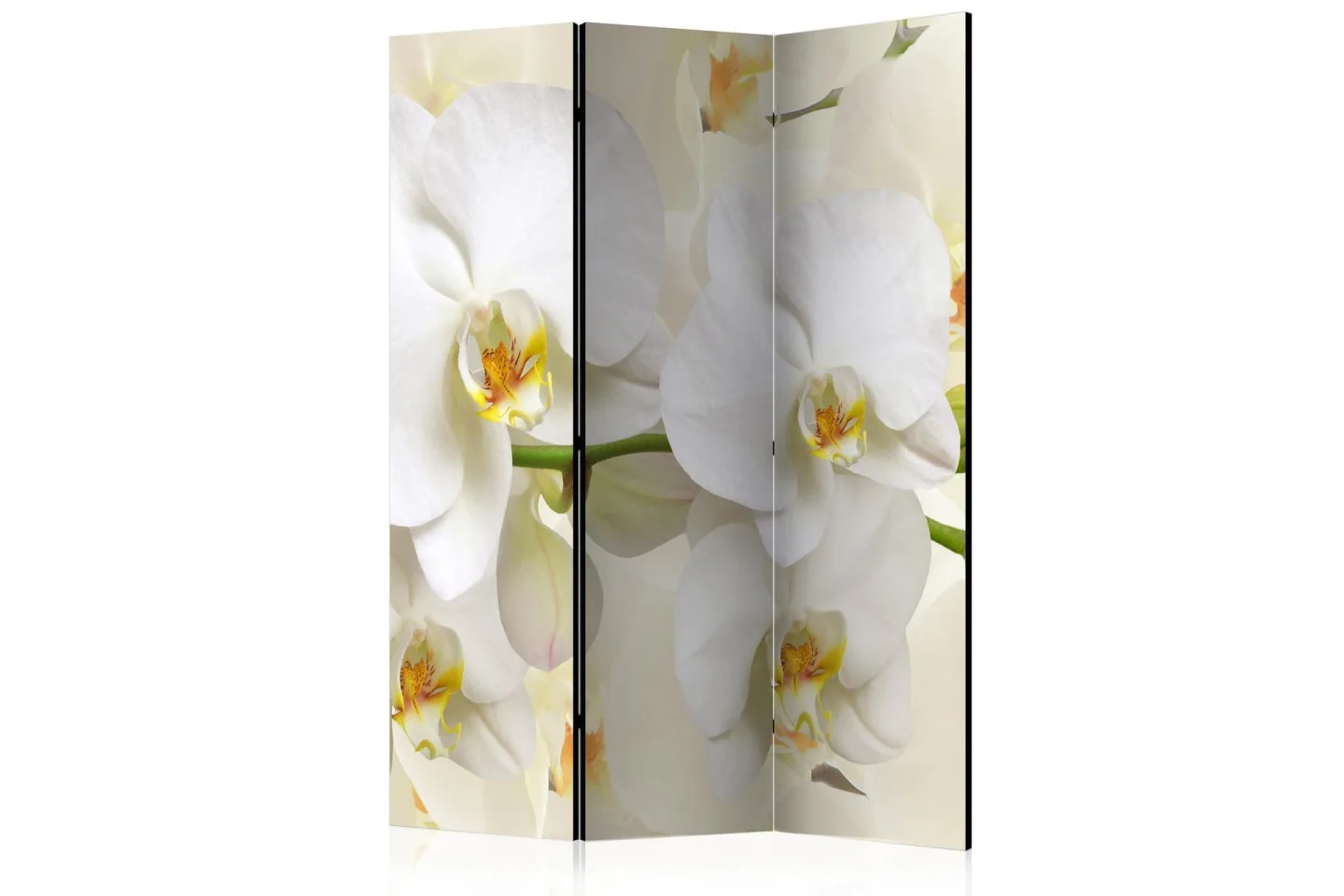 Kadira Rumsavdelare 135x172 cm -