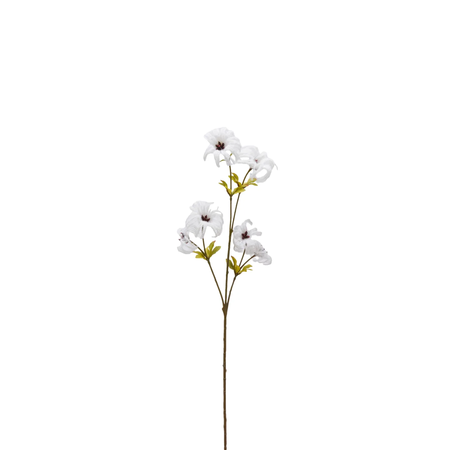 Edg Kunstblume Clematis Beige H: 64 cm | Schubiger Möbel
