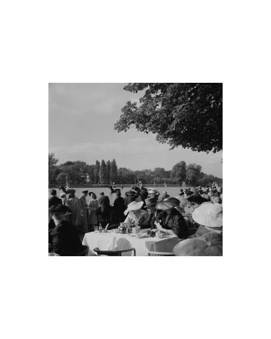 French Polo Crowd