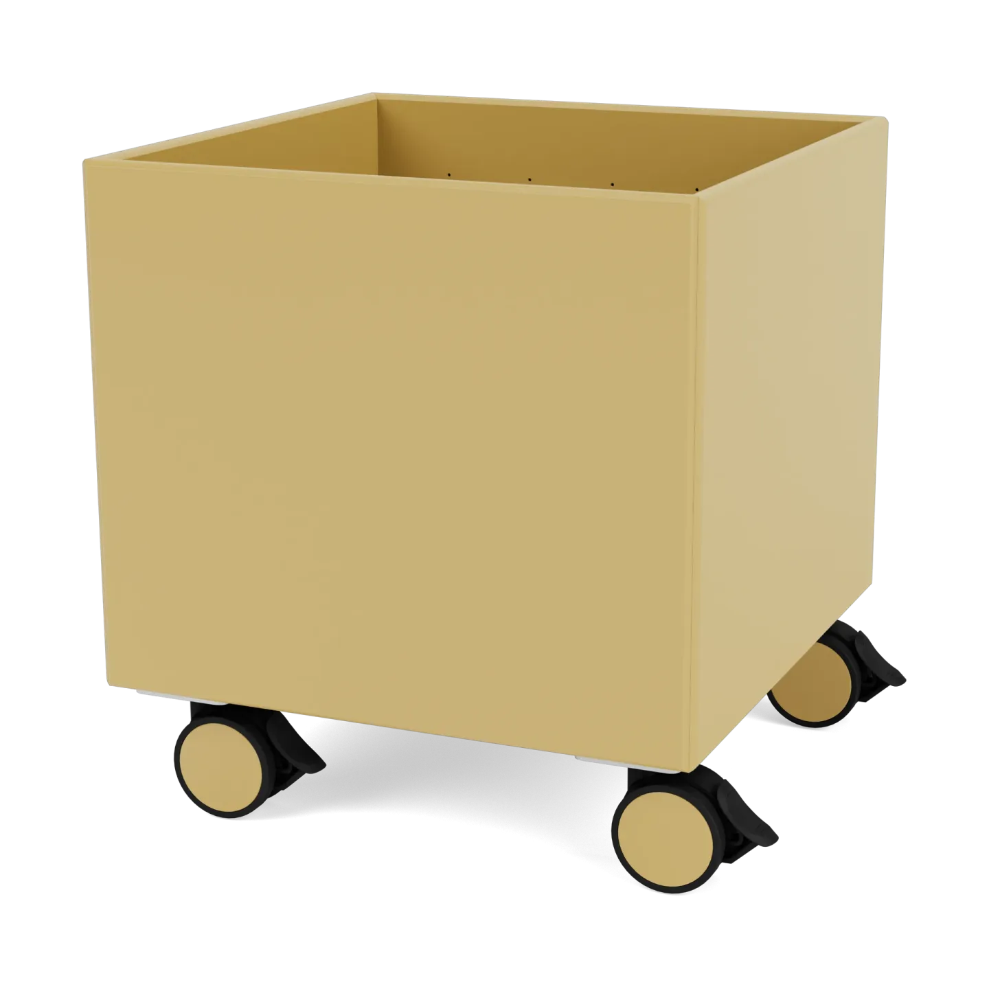 Montana Colour Box I – S6161 Cumin