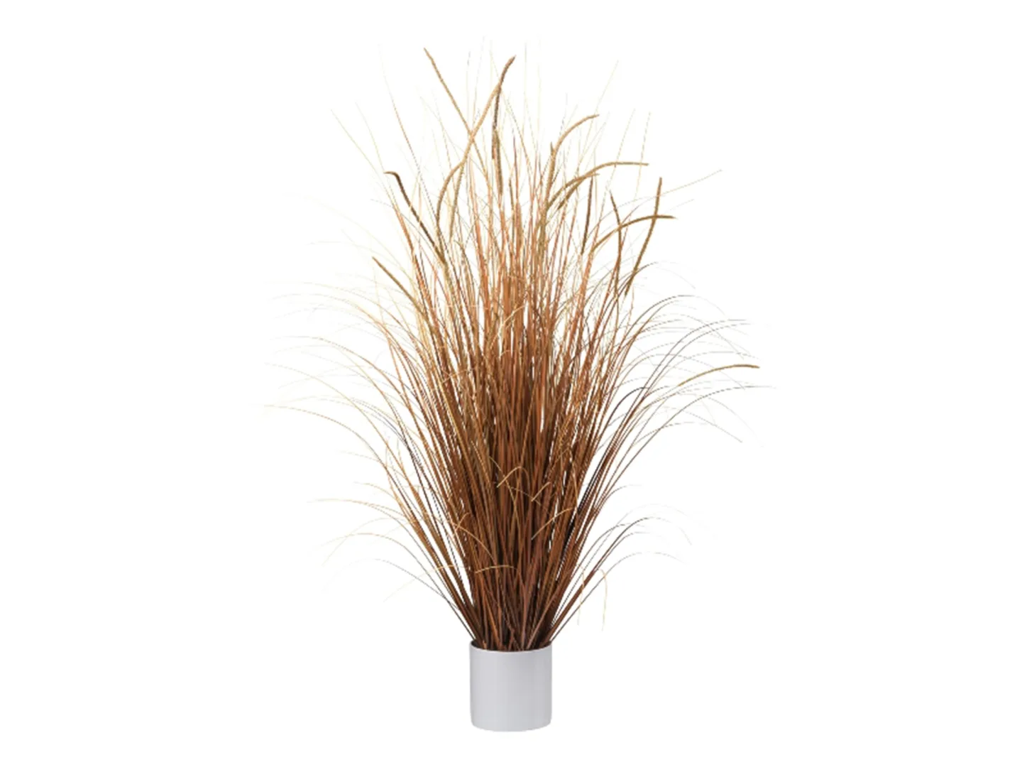 Gasper Kunstpflanze Gras Hellbraun H: 125 cm | Schubiger Möbel