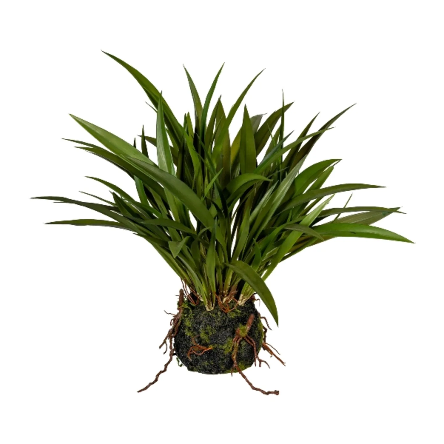 Gasper Kunstpflanzen Miscanthusgras H: 35 cm | Schubiger Möbel