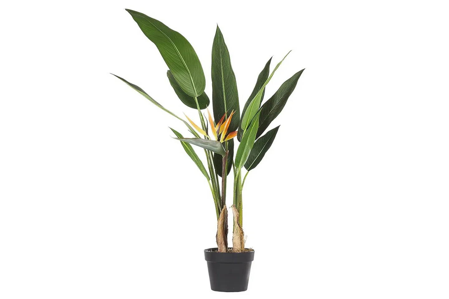 Konstgjord växt Strelitzia Tree -