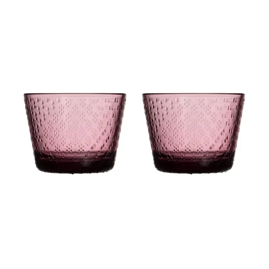 Iittala Tundra Wasserglas 16cl 2er Pack Heide