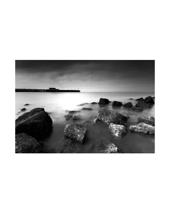 Coastal Morning