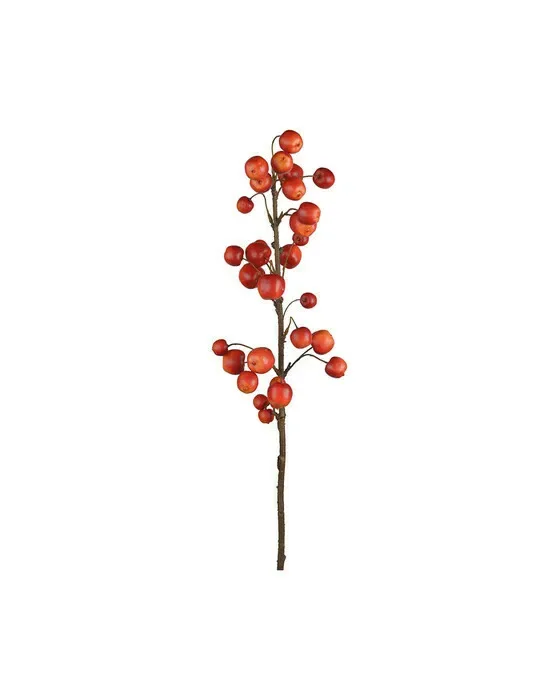 Äppelkvist snittblomma röd