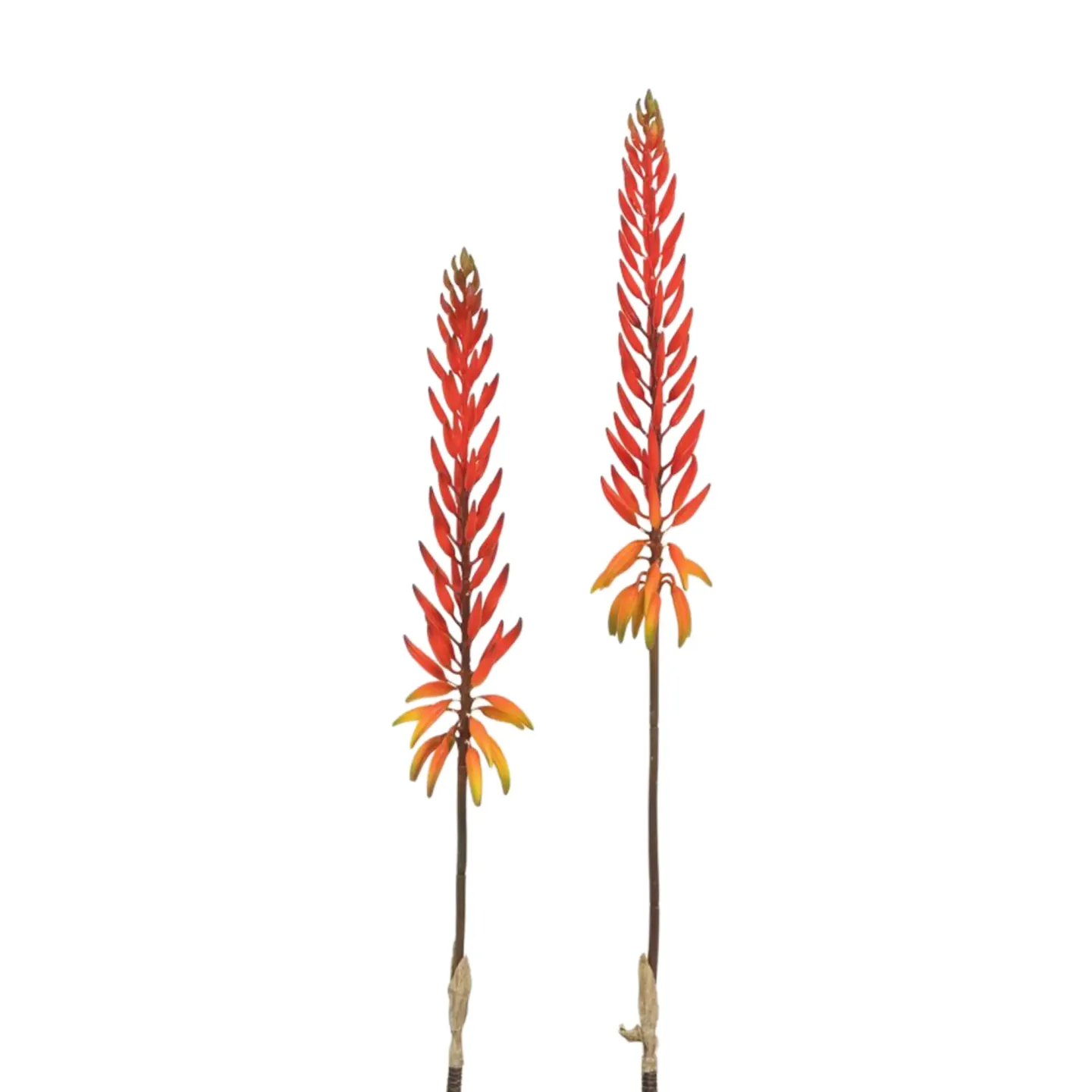 Edg Kunstblume Aloeblüte Coral H: 82 cm | Schubiger Möbel