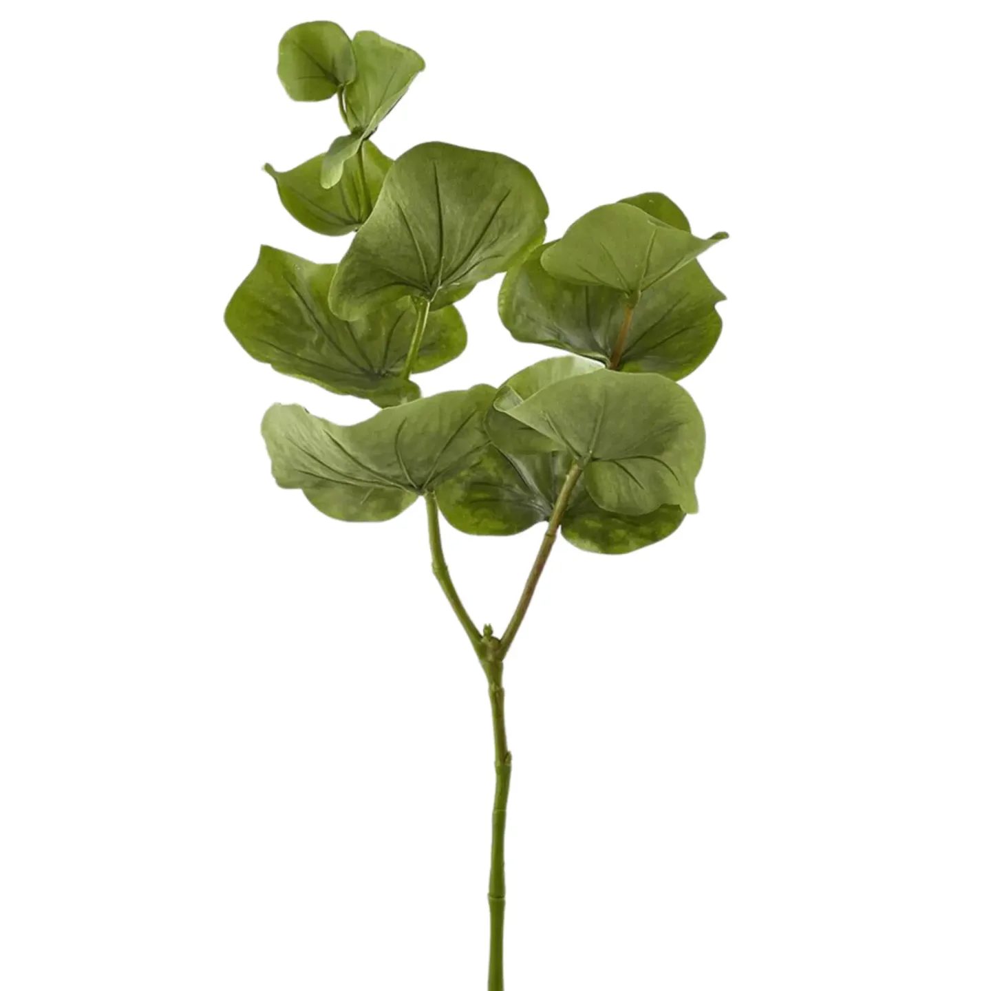Edg Kunstblume Begonienblatt H: 80 cm | Schubiger Möbel