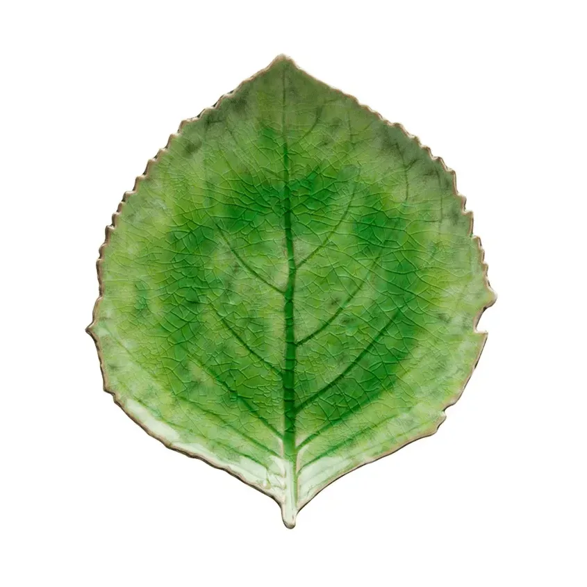 Costa Nova Riviera Hydrangea Teller Tomate, 22 cm