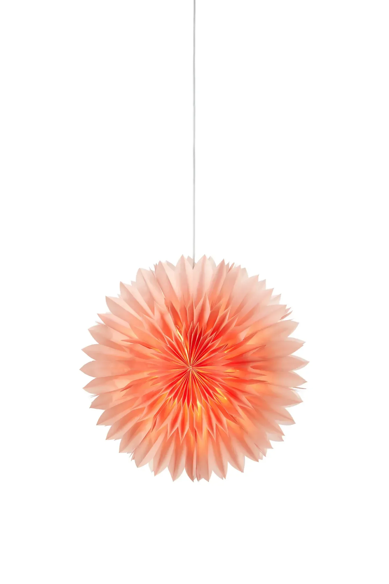 Solina Stern Rosa 60 cm