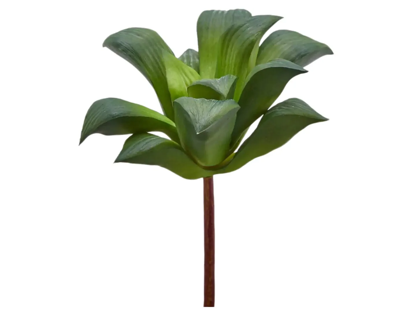 Edg Kunstblume Agave Klein Grün H: 16 cm Grün | Schubiger Möbel