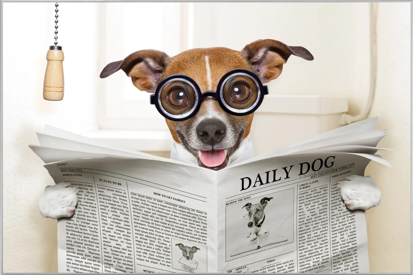 image LAND Bild mit Rahmen Hund mit Zeitung | Schubiger Möbel
