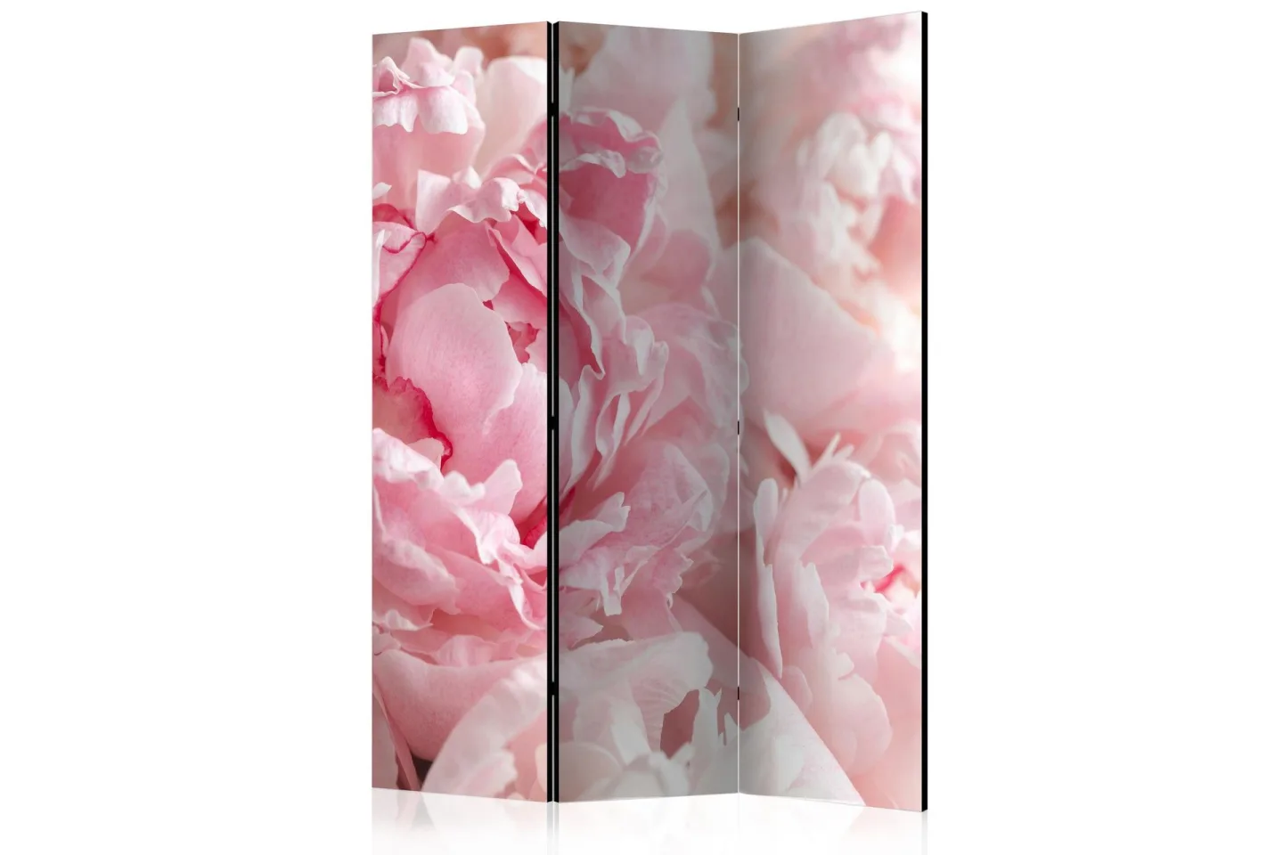 Kadira Rumsavdelare 135x172 cm -