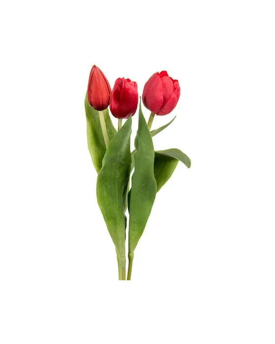 Tulipan – afskåret blomst i rød