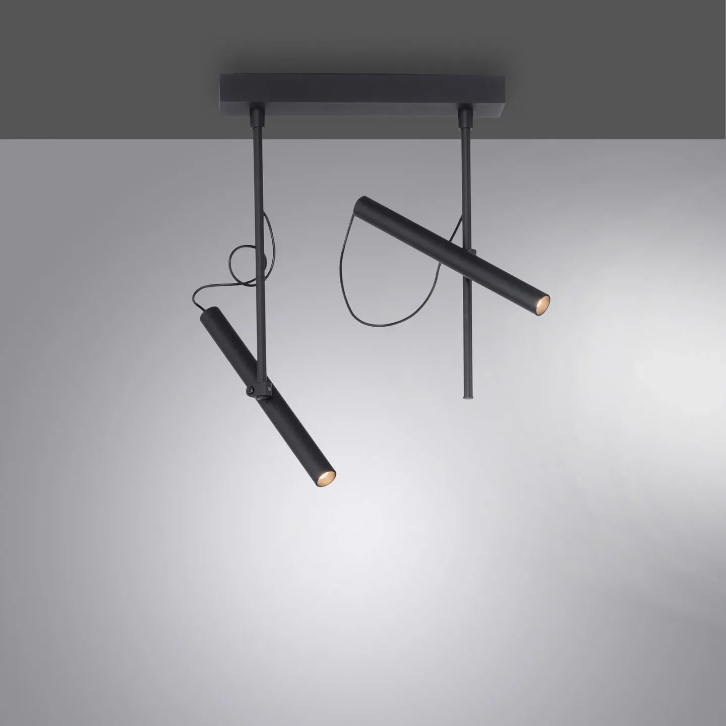 Tutua LED-loftlampe, 2 lyskilder, sort – PURE Pure Tutua - Stue - Moderne - Metal - Med flere lyskilder