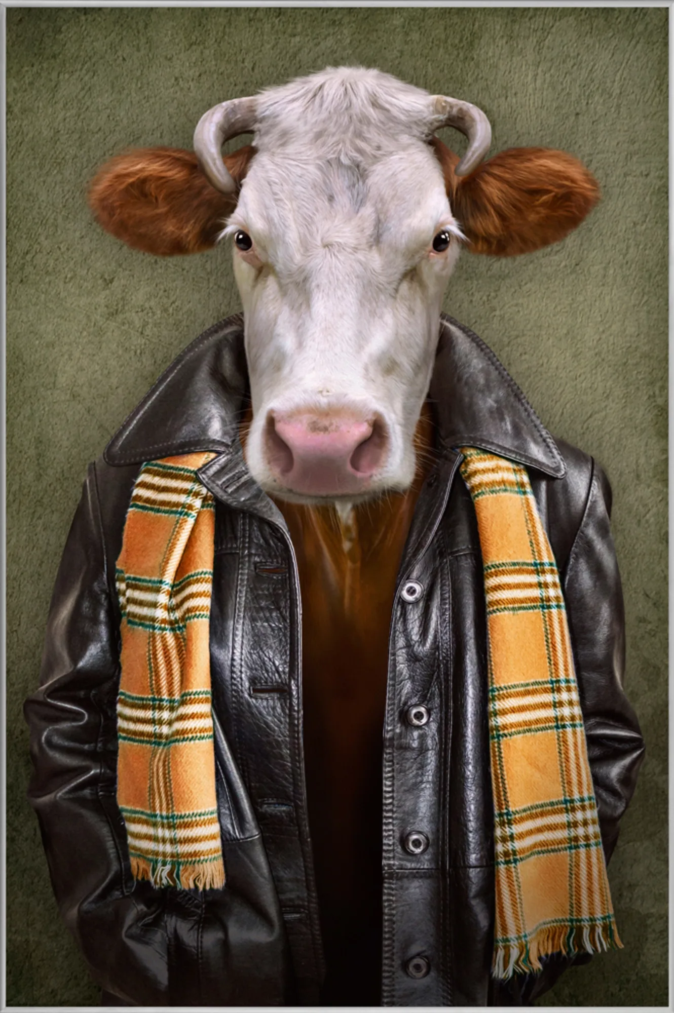 image LAND Bild mit Rahmen Rind mit Lederjacke | Schubiger Möbel