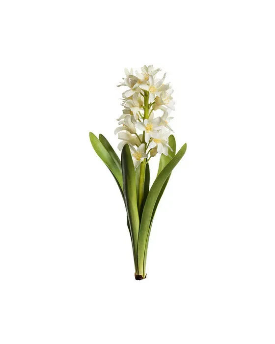 Hyacint – afskåret blomst i hvid