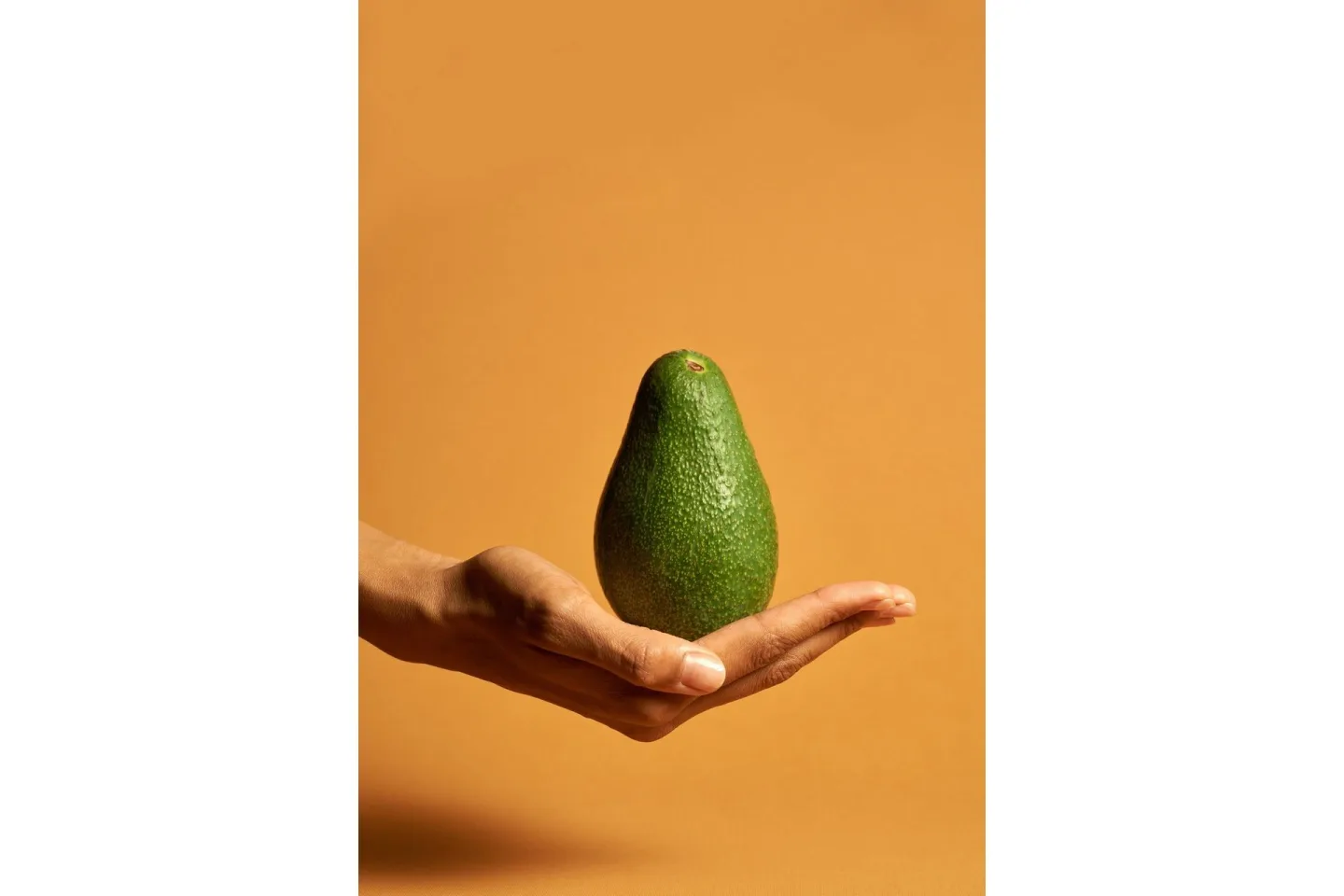 Poster Avocado 21x30 cm - Orange/Grön