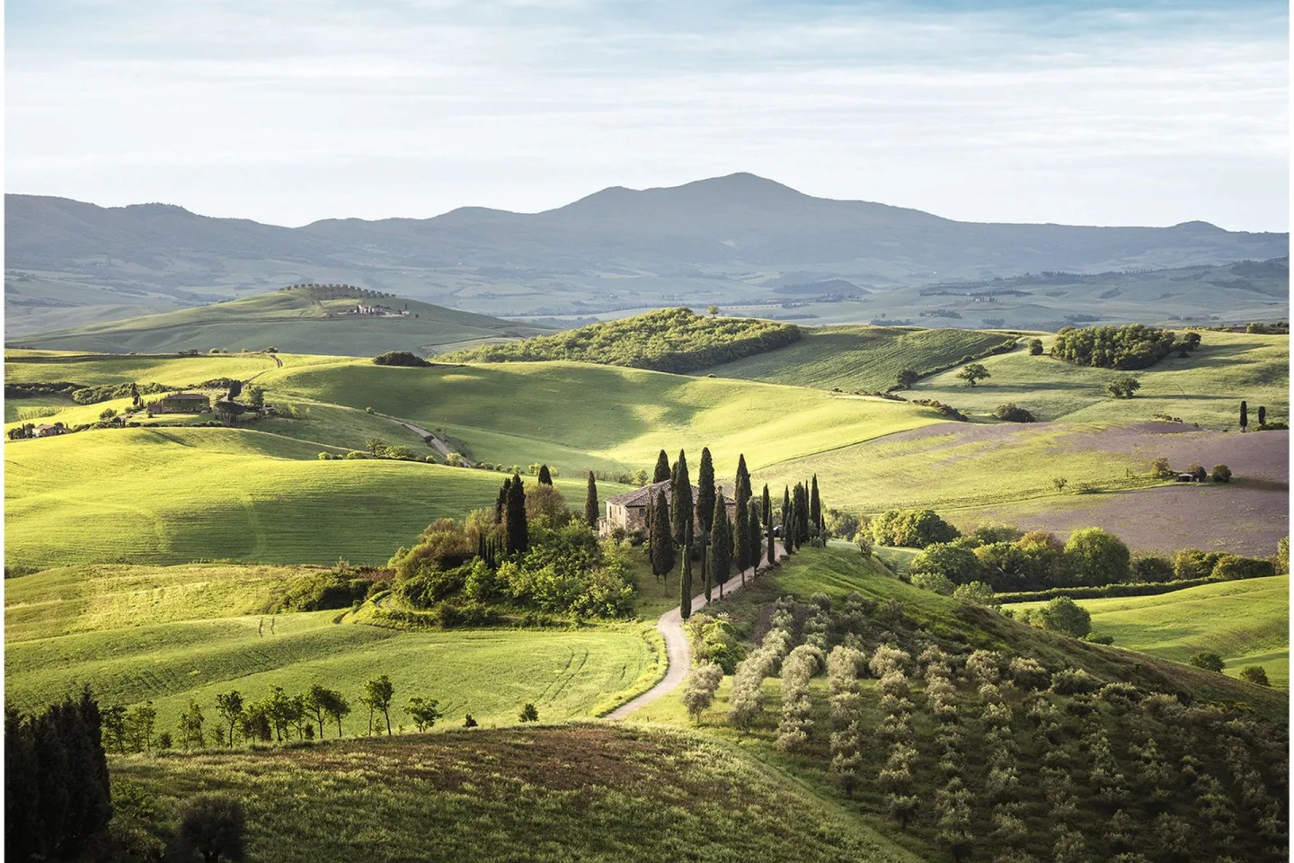 Canvastavla Tuscany - 80x120 cm