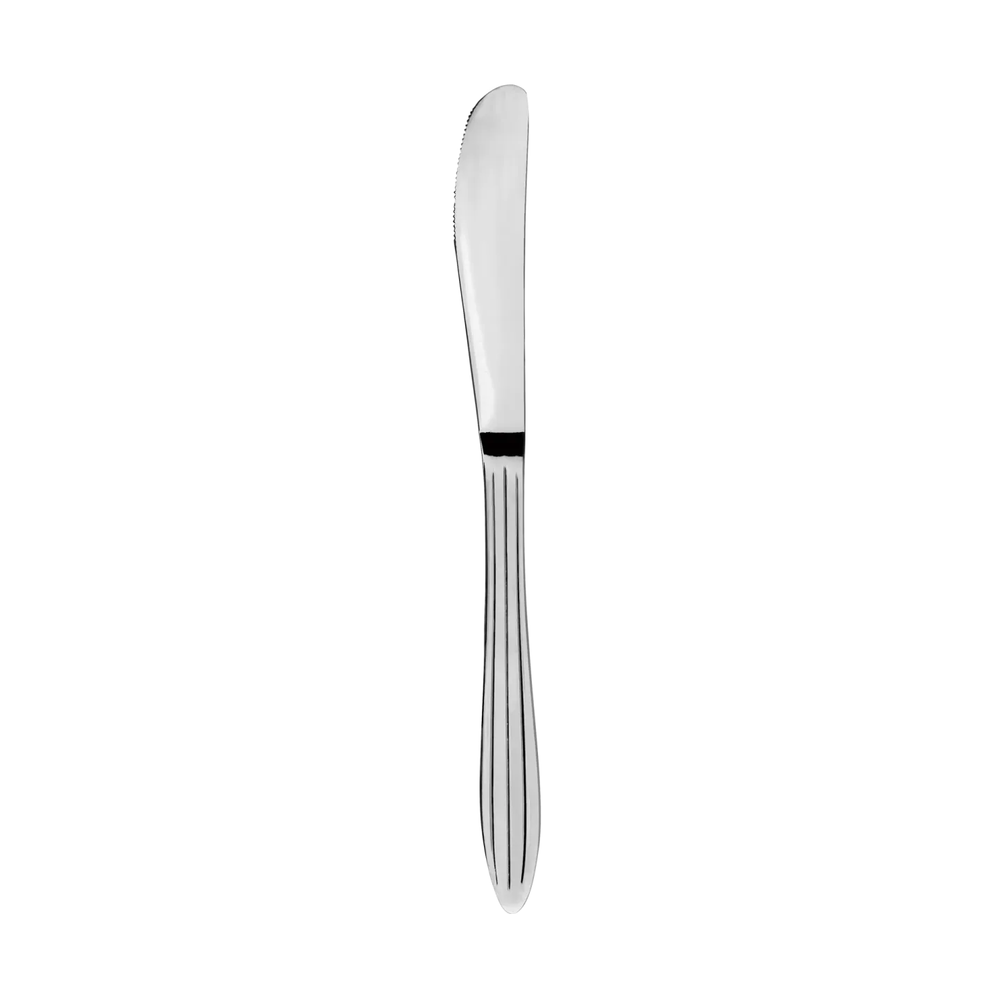 Aida Gastro Messer Edelstahl