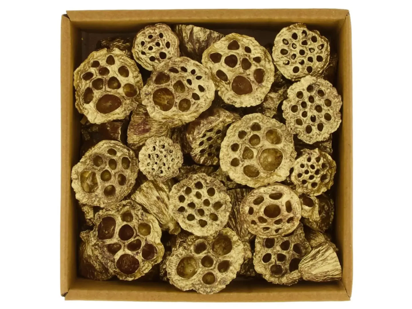 Decofinder Lotosblumen Natur Gold Gelb | Schubiger Möbel
