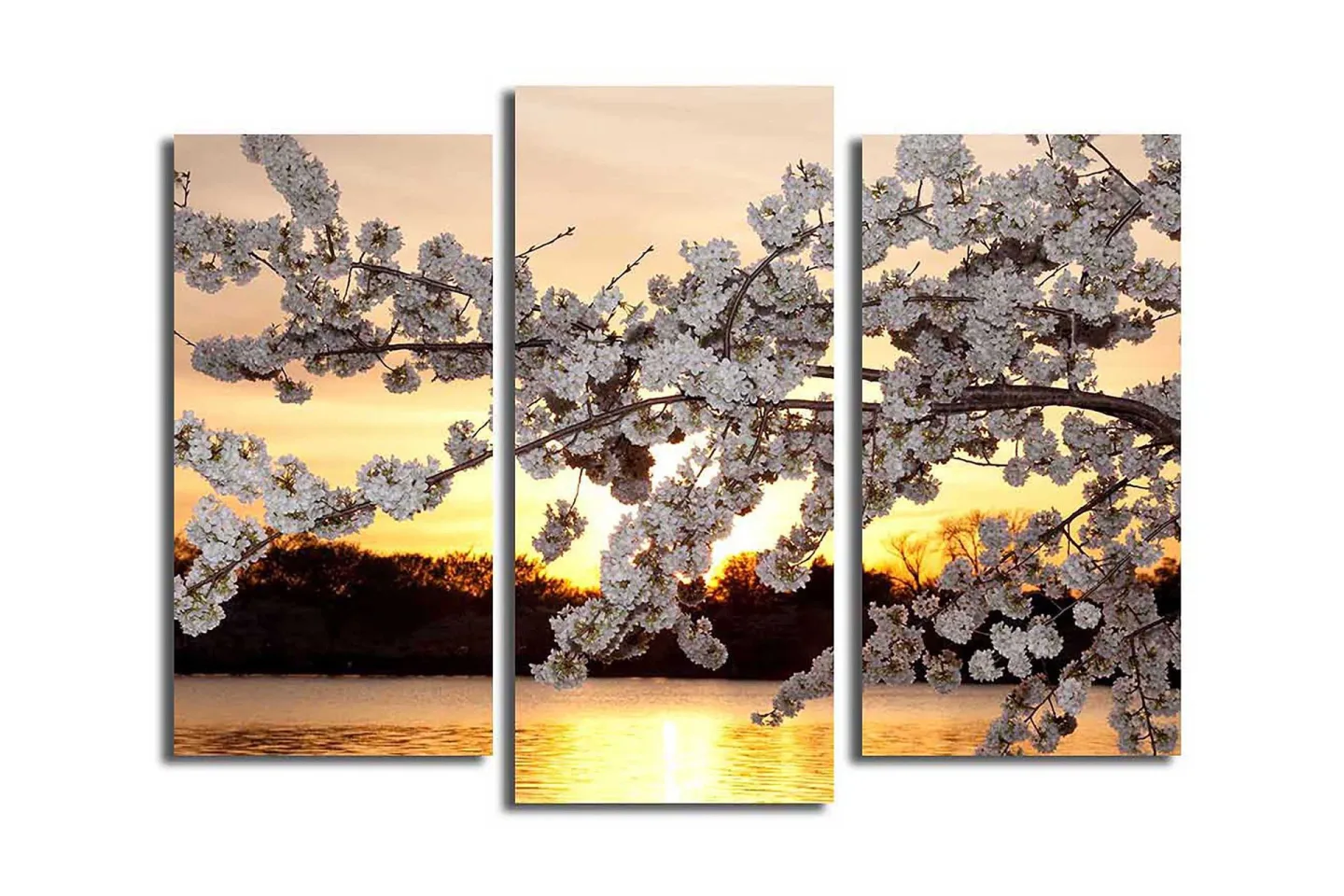 Canvastavla 3-pack Flerfärgad - 20x39 cm