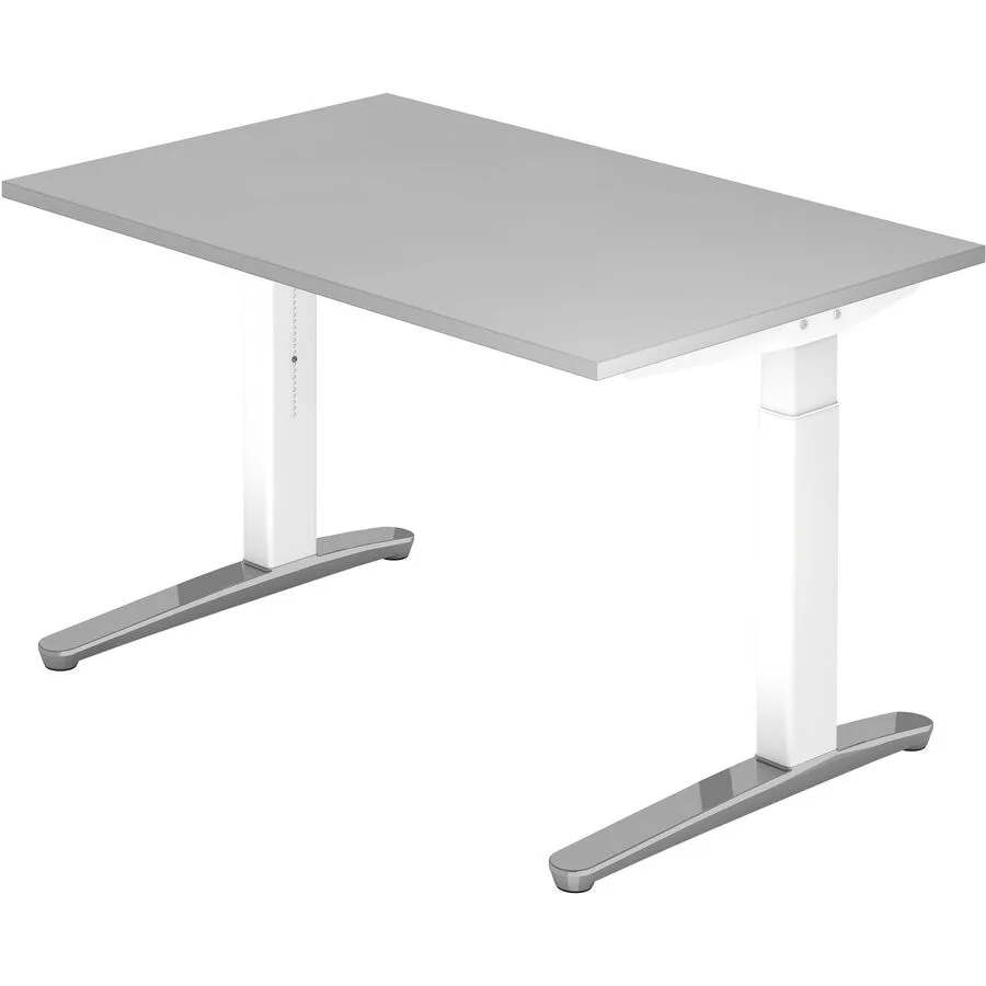 Schreibtisch Office grau Holzwerkstoff B 120 T 80 cm