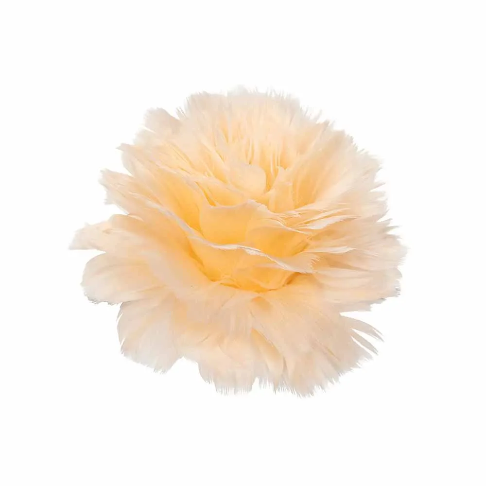 Fjäderblomma med clip Aprikos