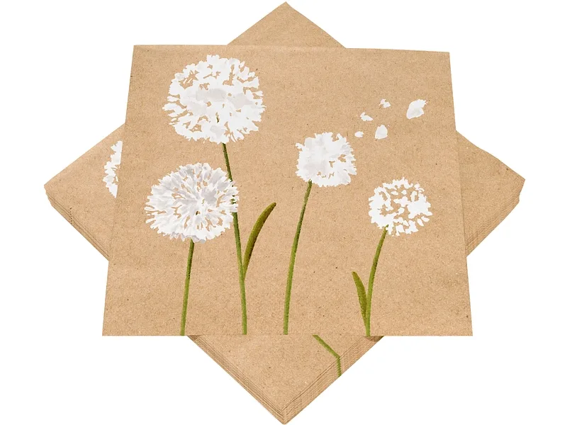 Set 20 Servietten SWAN Papier braun