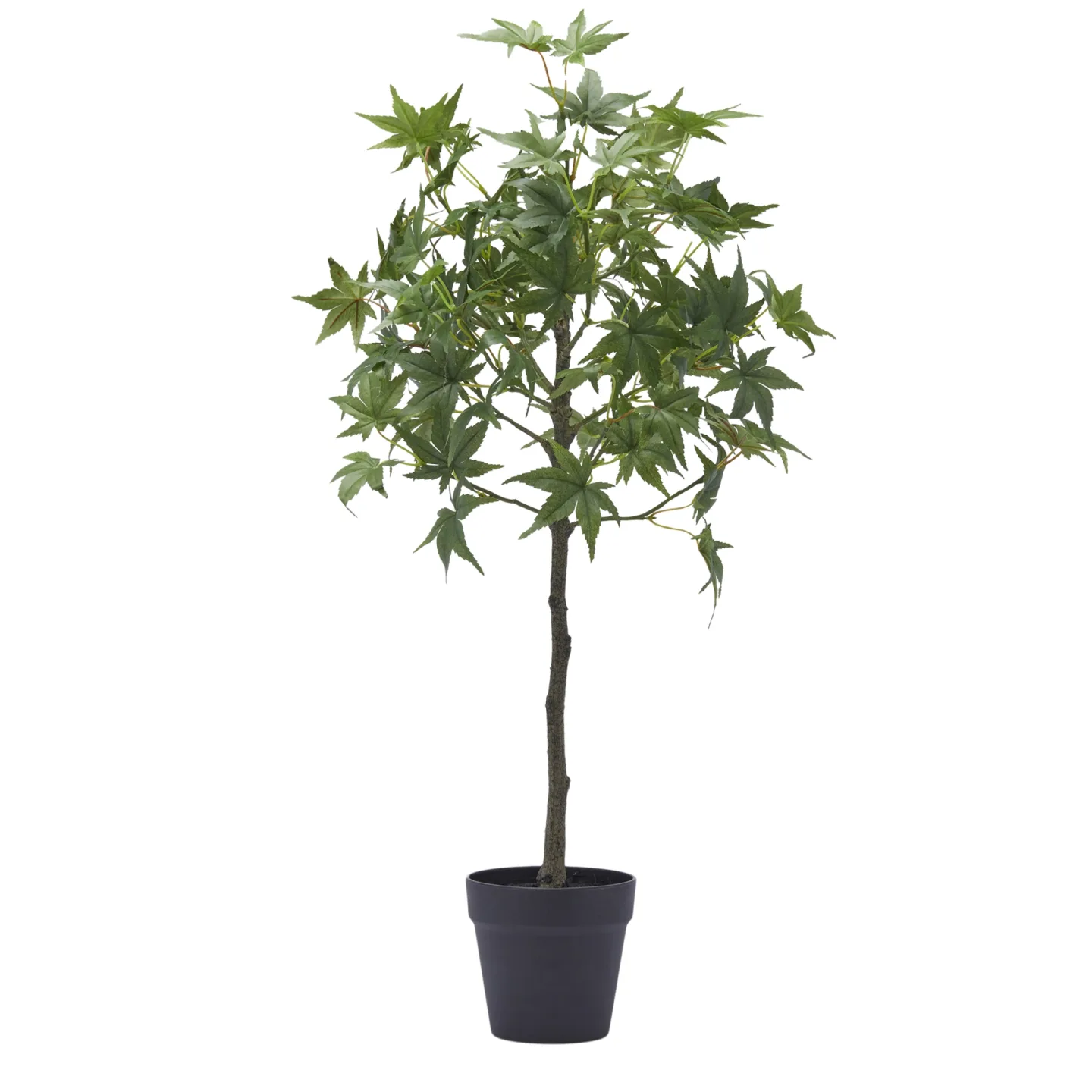 Edg Kunstpflanze Ahornbaum H: 76 cm | Schubiger Möbel