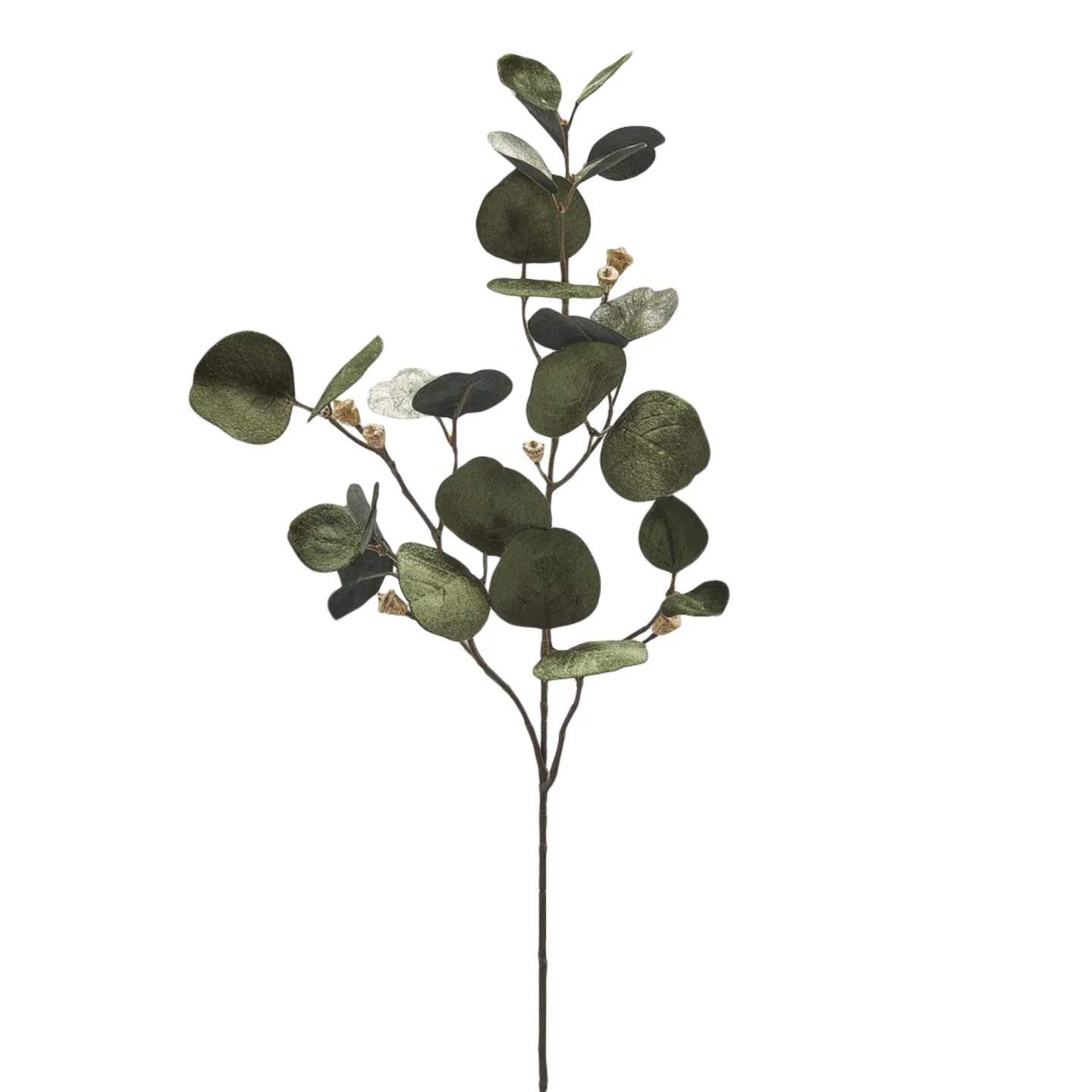 Edg Kunstblumen Eukalyptus Samt Grün Gold H: 90 cm | Schubiger Möbel