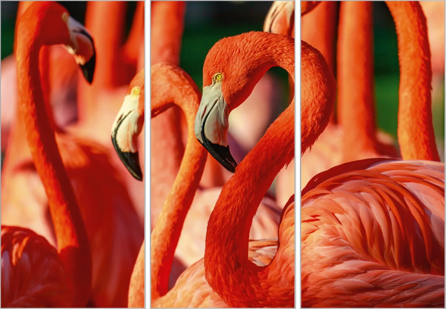 image LAND Bild mit Rahmen Flamingos | Schubiger Möbel
