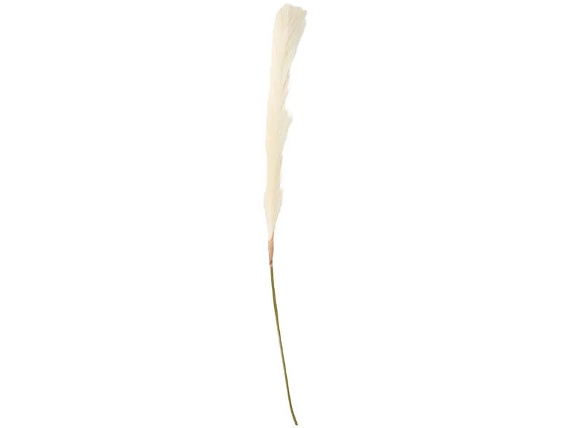 Pampas LIANA Weiss