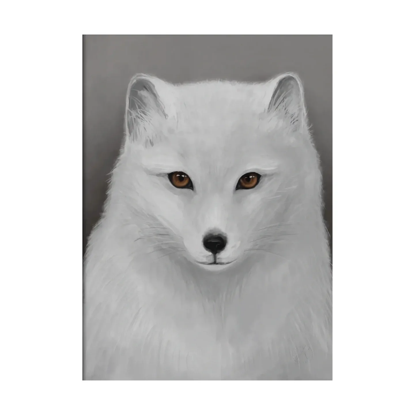 Kunskapstavlan® Fjällräv poster 30x40 cm