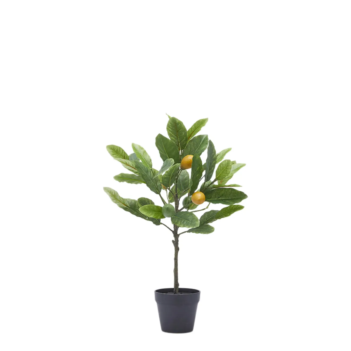 Edg Kunstpflanze Zitronenbaum H: 48 cm | Schubiger Möbel
