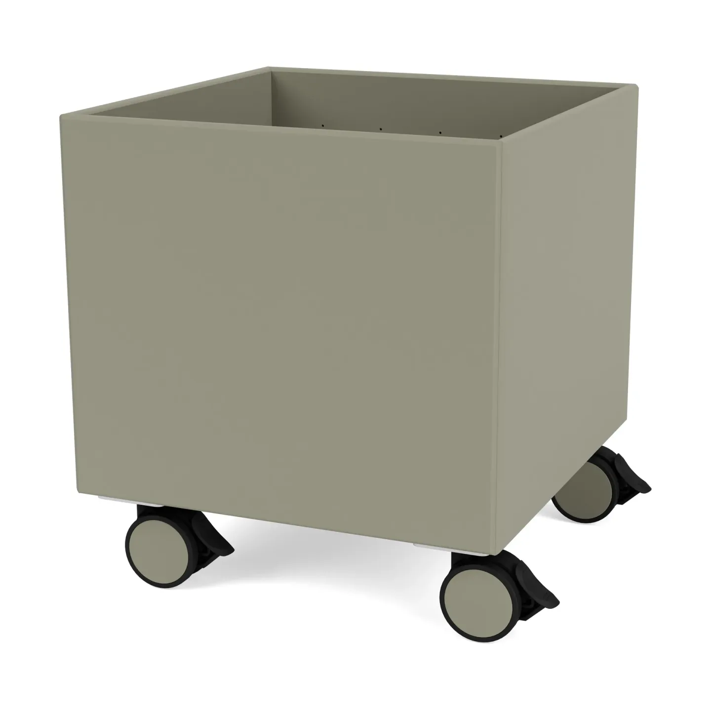 Montana Colour Box I – S6161 Fennel