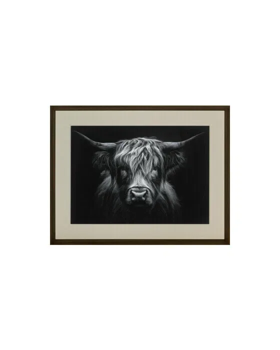 The Strenght of a Highland Cow
