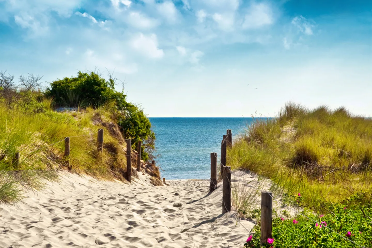 image LAND Alubild Spaziergang Zum Meer | Schubiger Möbel