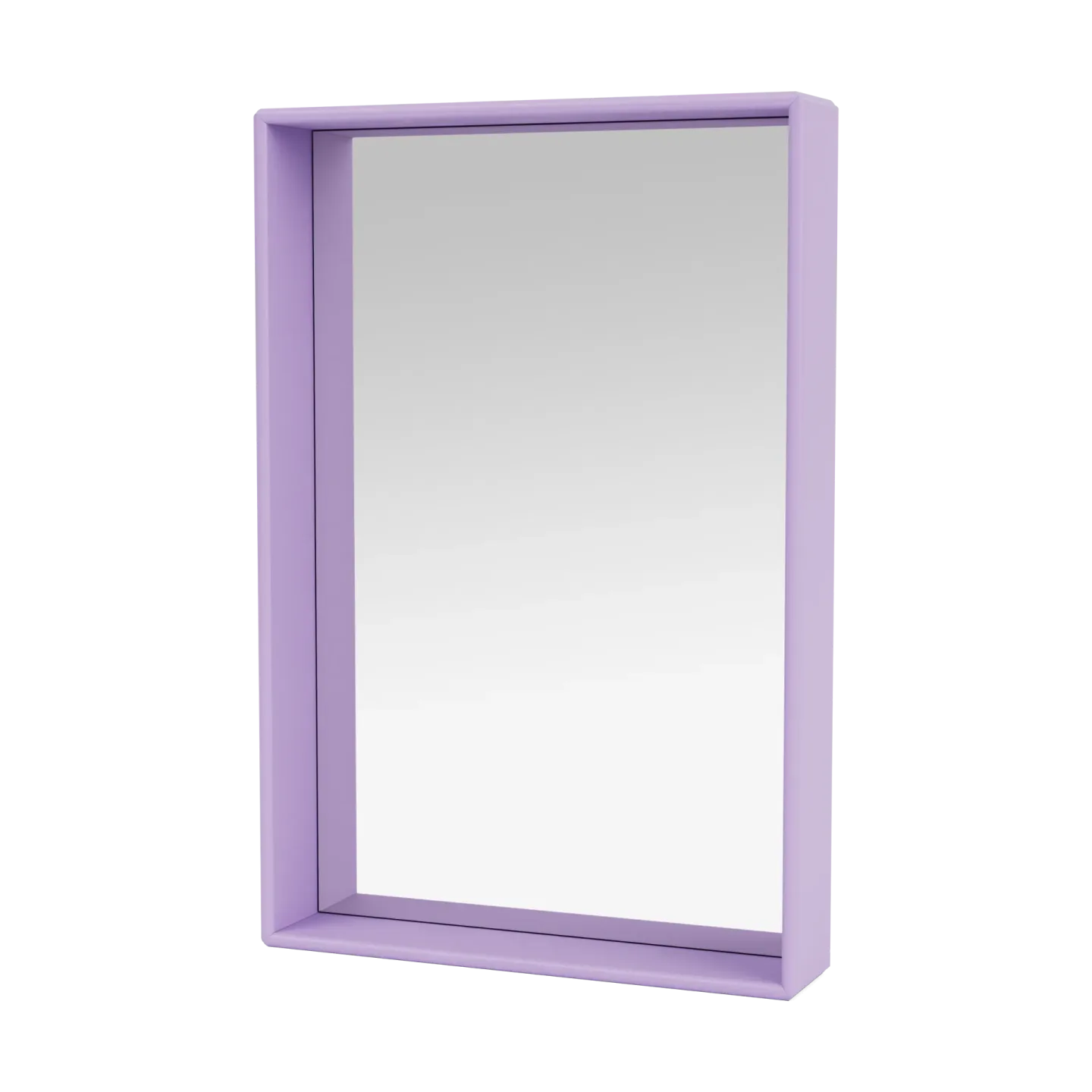 Montana Shelfie colour frame Spiegel 46,8x69,6 cm Iris