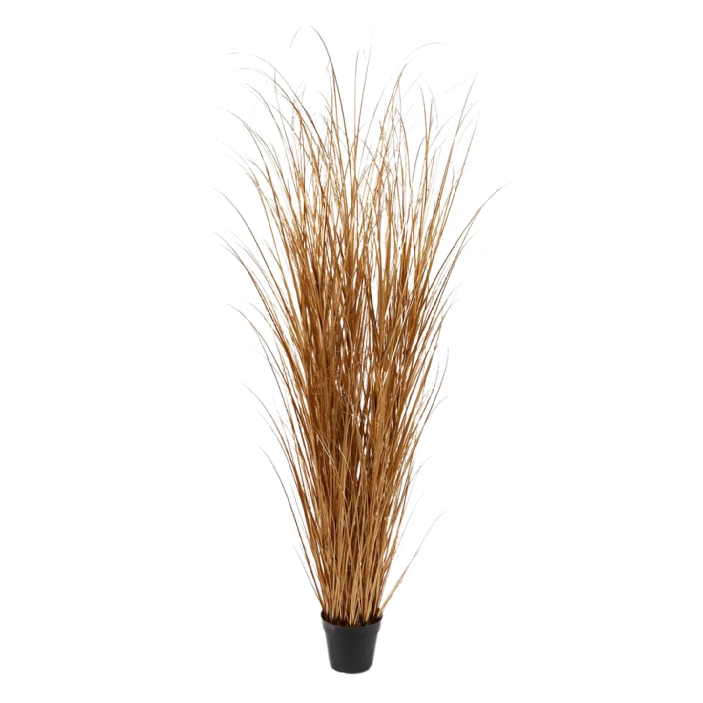 Edg Kunstpflanzen Schilfgras Gold H: 180 cm | Schubiger Möbel