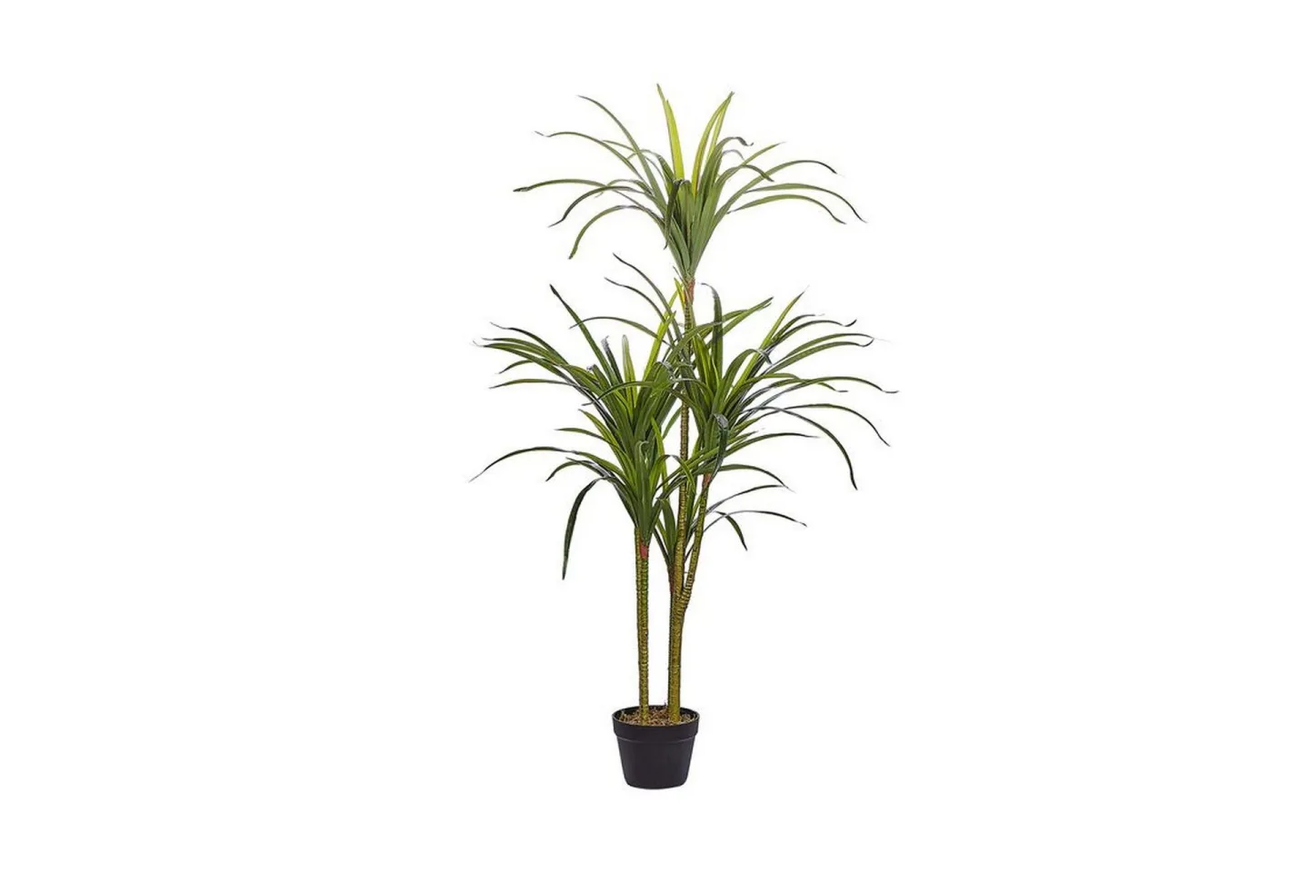 Berden Konstgjord Krukväxt 147 cm Dracaena anita - Grön