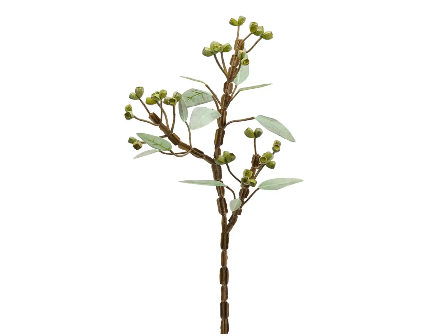 Edg Kunstblume Eucalypthus Grün H: 80 cm | Schubiger Möbel