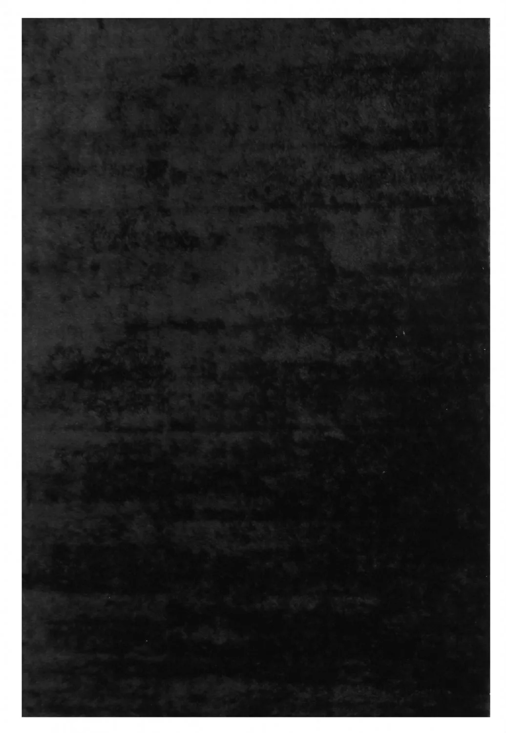 Ryetepper - Cosy (sort) (Størrelse: 300 x 400 cm)