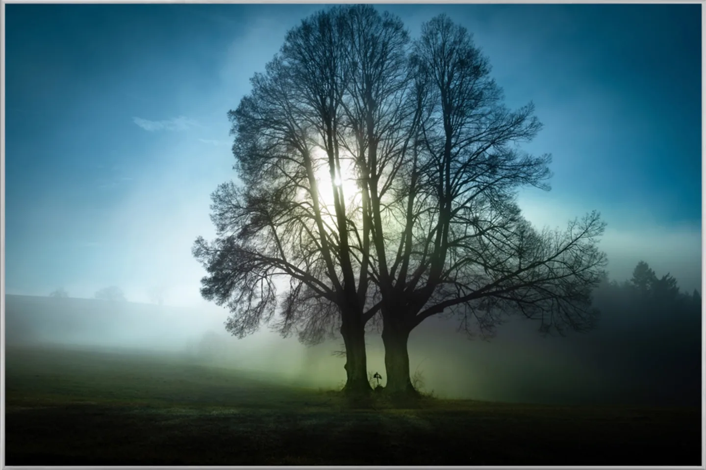 image LAND Bild mit Rahmen Bäume im Morgennebel | Schubiger Möbel