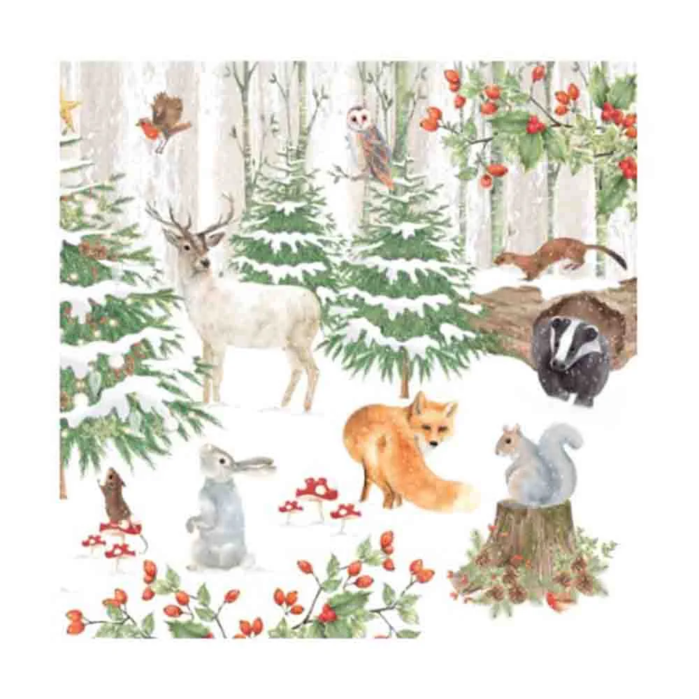 Servetter Wildlife