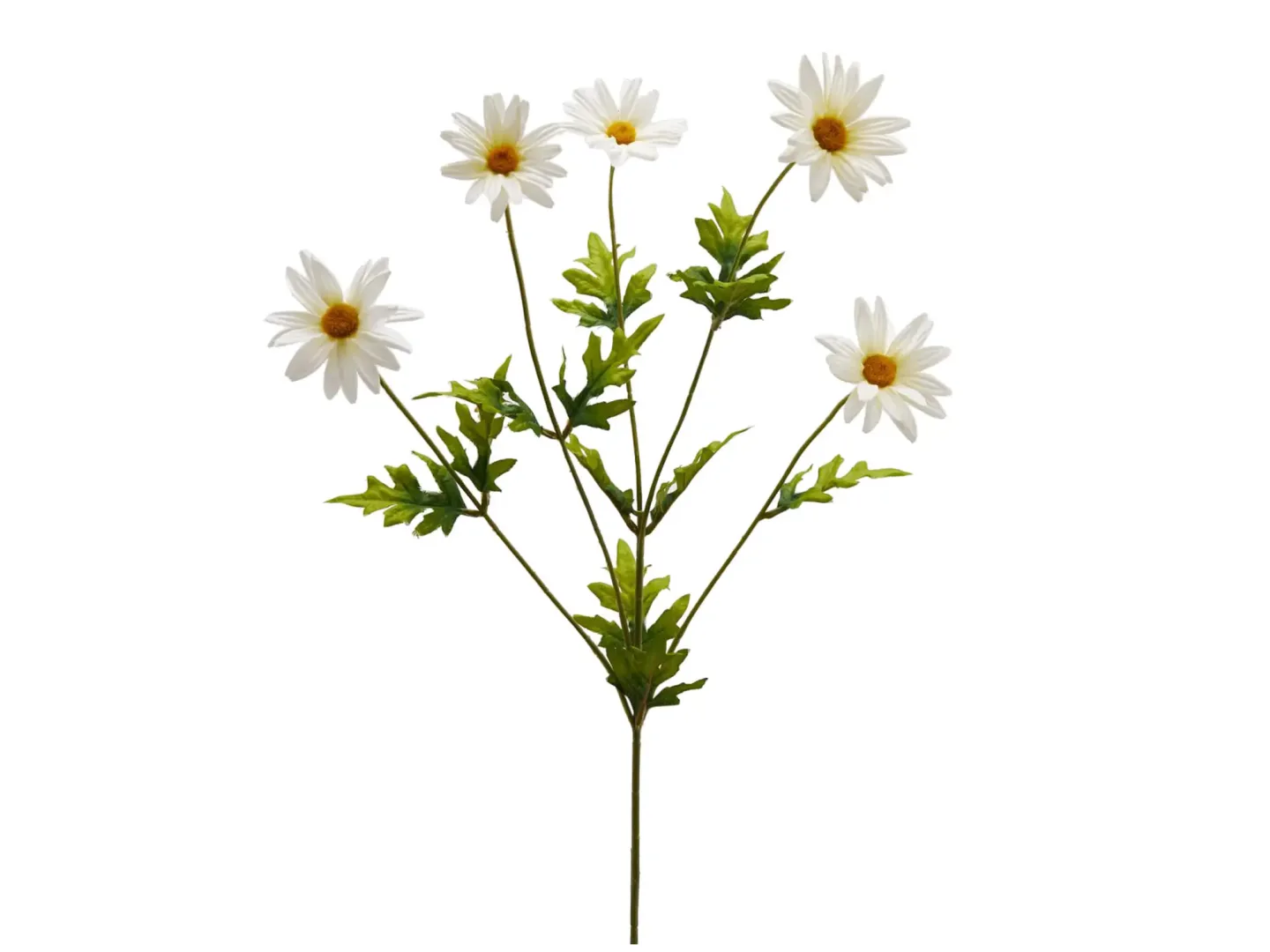 Edg Kunstblumen Margerite H: 75 cm | Schubiger Möbel