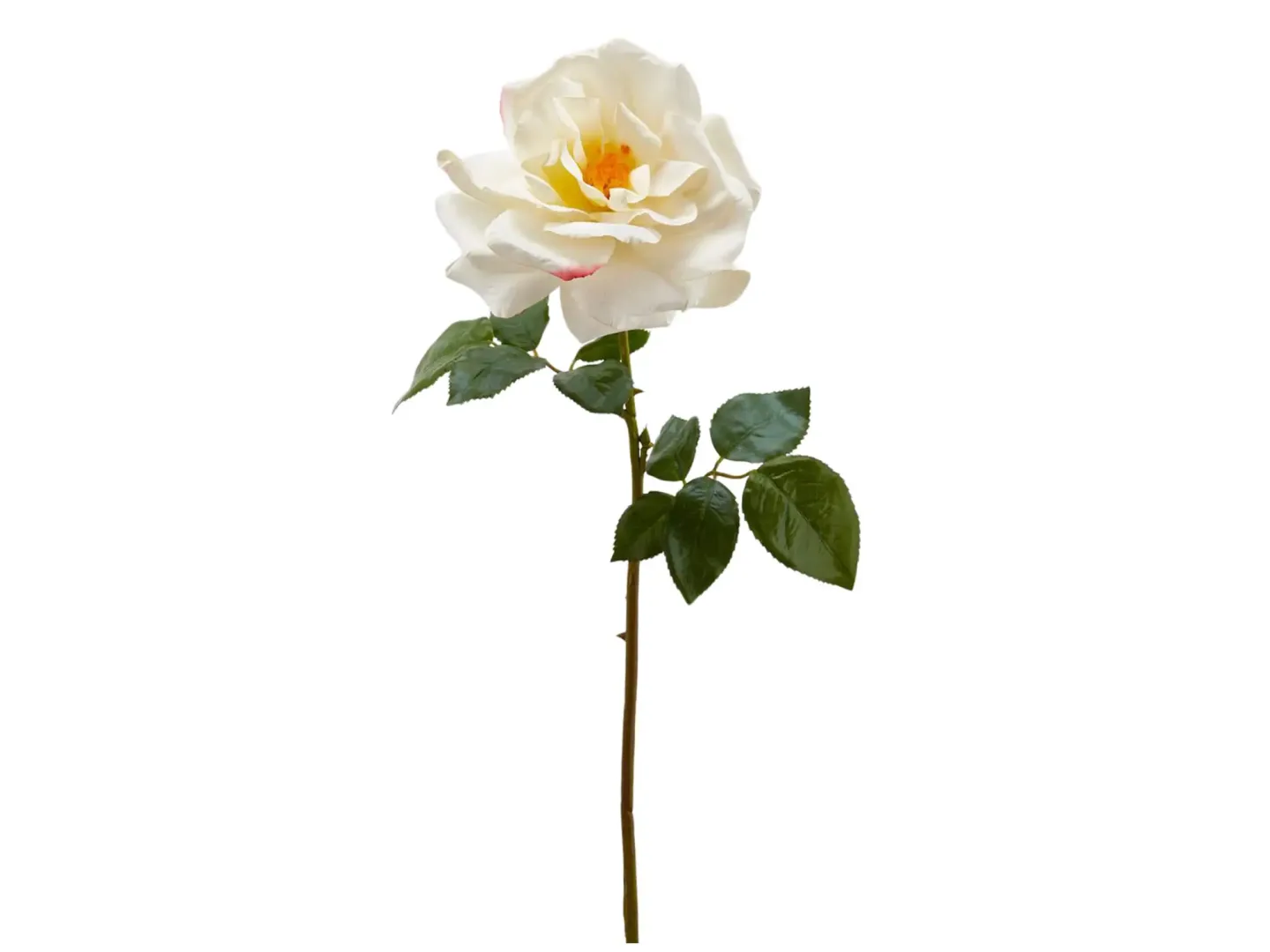 Edg Kunstblumen Rose Weiss H: 56 cm | Schubiger Möbel